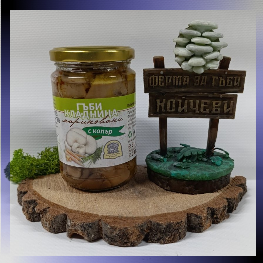 КЛАДНИЦА С КОПЪР 7